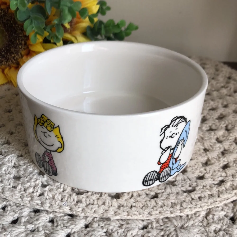 Peanuts Character Ceramic PET Bowl